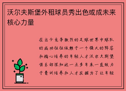 沃尔夫斯堡外租球员秀出色或成未来核心力量